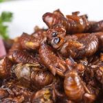 Atelier Cuisine D'Insectes