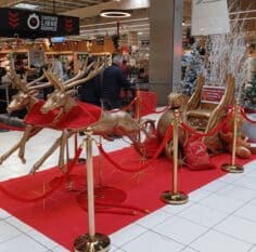 Scène décor traineau et rennes de noël