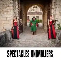 Spectacle animaliers